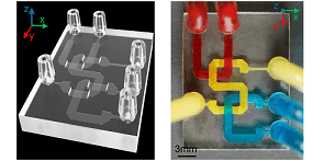 An example of a microfluidic chip created by the USC research team The researchers’ method microfluidic device fabrication is compatible with commonly used 405?nm light sources and commercial photocurable resins. Courtesy of Yang Xu.