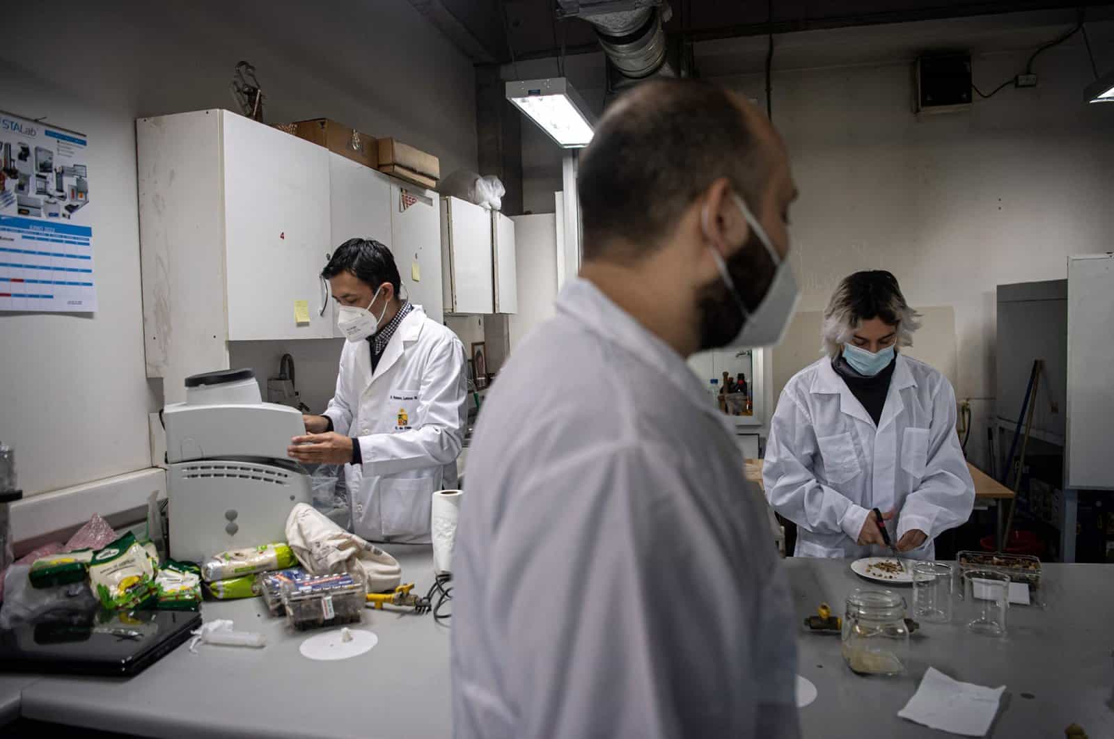 Food engineer Roberto Lemus (L) and food engineering students Marcelo Bertran (C) and Alonso Vasquez manipulate food as they work in a University of Chile lab, in Santiago, Chile, June 17, 2022. (AFP Photo)