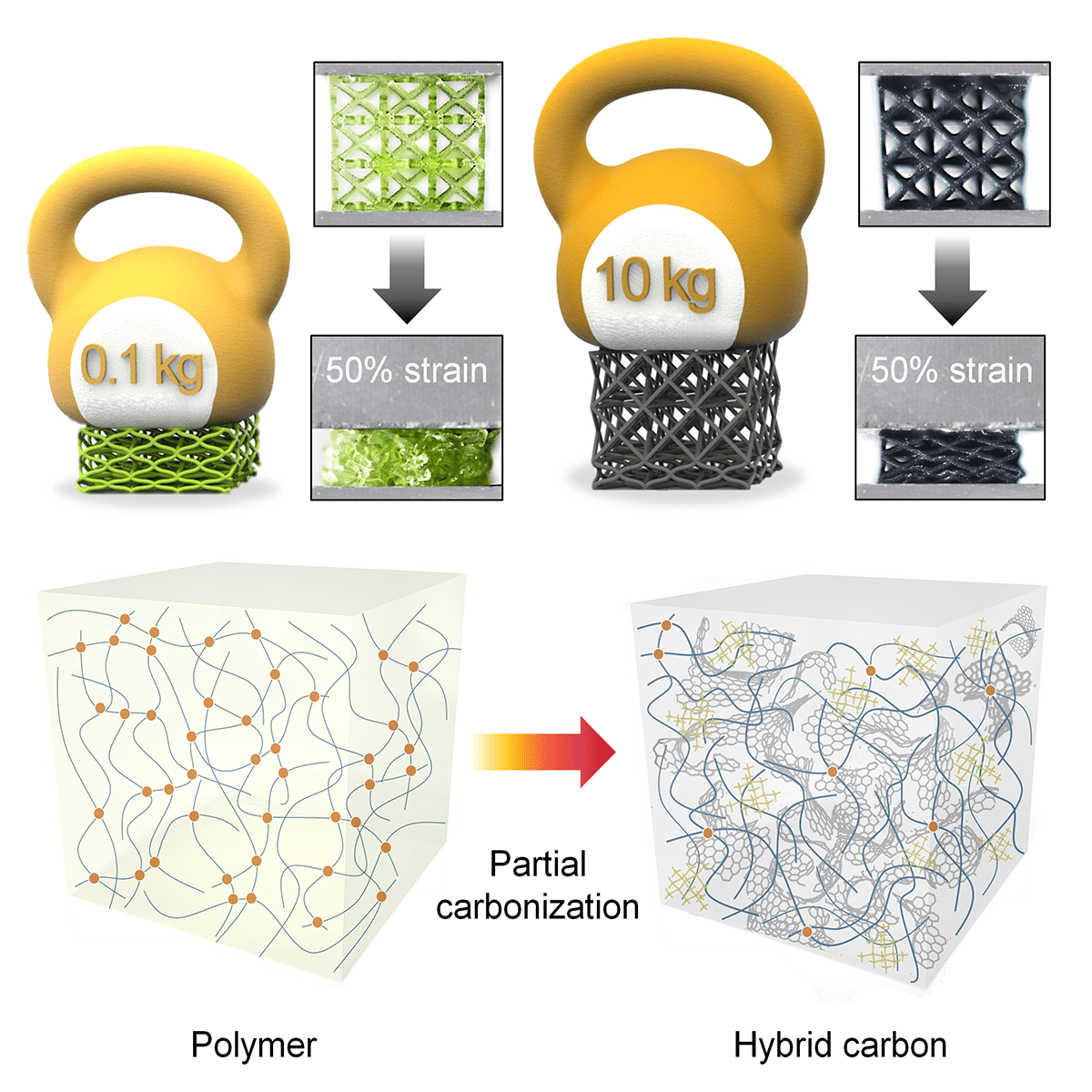 The CityU team developed a low-cost, facile way to fabricate biocompatible 3D-architected carbon composites that are lightweight, strong, and deformable to any size and shape. Photo source:  Surjadi, James et al., /doi.org/10.1016/j.matt.2022.08.010