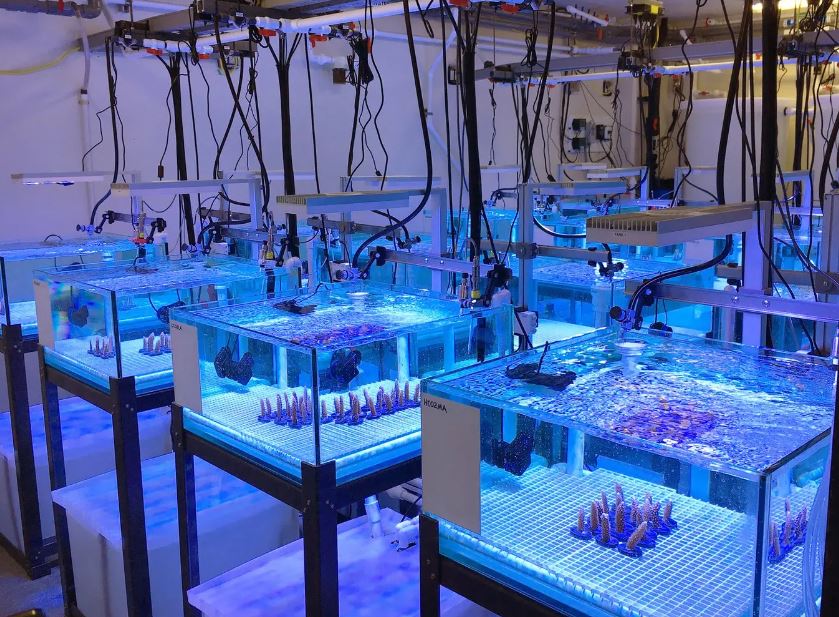 The Experimental Reef Lab at the Atlantic Oceanographicand Meteorological Laboratory (AOML)