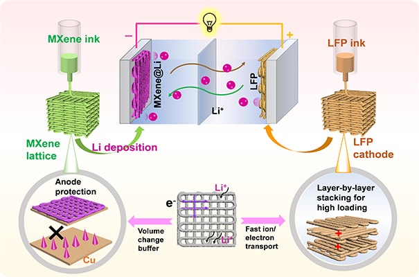 Schematic illustration of the fabrication process of 3D printed LMBs (Image by MA Jiaxin and ZHENG Shuanghao)